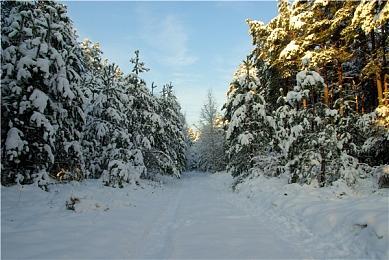 《星空》在韩国提交商标申请 发售日期或即将公布